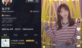 八兔爆料视频大全,揭秘热门话题背后的真相与内幕